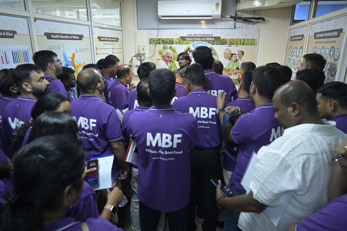MBF Universe Gallery